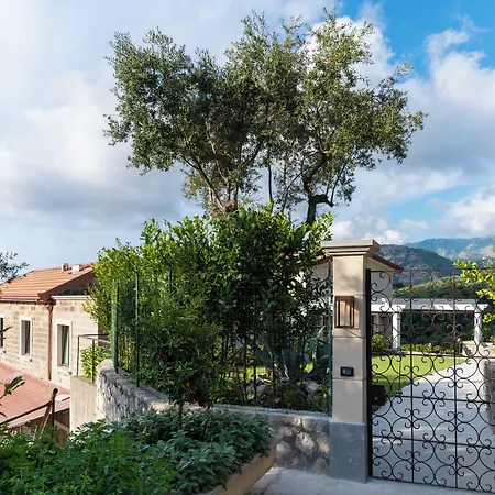 Gargiulo سانتّانييلّو